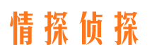 北宁市私家侦探公司